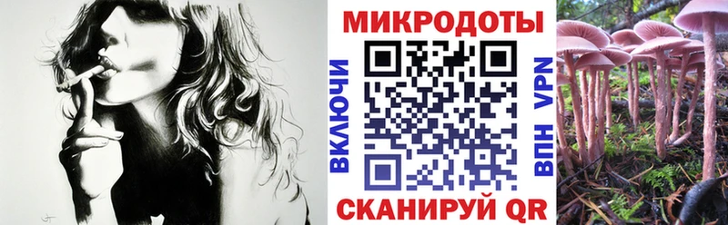 Галлюциногенные грибы MAGIC MUSHROOMS ОМГ ОМГ ONION Новомичуринск